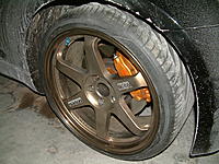 Finally she's home !!-dscf0151.jpg