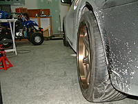 Finally she's home !!-dscf0150.jpg