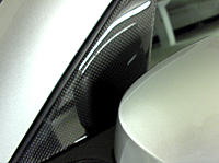Carbon Fiber Accents-cf_jpanel1.jpg
