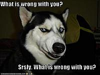 FS....I had a collision, Must sell everything-128818694421426851.jpg