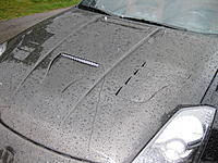FS:CF hood, mirror covers, strut bar-350z-cf-suspension-006.jpg
