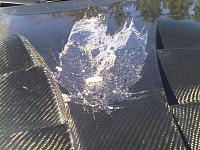 Woke up to an egged 350z :'(-img00065-20100428-0940.jpg