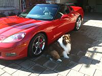 I had Gtaindetail ( Kevin) polish my Z ..wow-img_0113.jpg