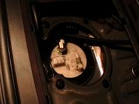 Busy weekend-picture-028.jpg