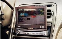 Pics from Toronto Z FEST-a24.jpg