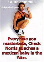 I'm sick of the VQ!-chuck-norris-1-.jpg