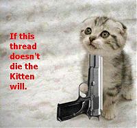 How to make a 350z faster?-kitten_die-1-.jpg