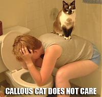 Pulse Plugs!!!-callouscat.jpg