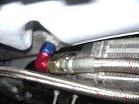 check out my new oil cooler with V3 bumper and TN kit.-dsc00820.jpg