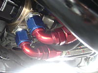 check out my new oil cooler with V3 bumper and TN kit.-dsc00857.jpg