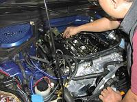 Aftermarket Fuel Rail?-injectors1640.jpg