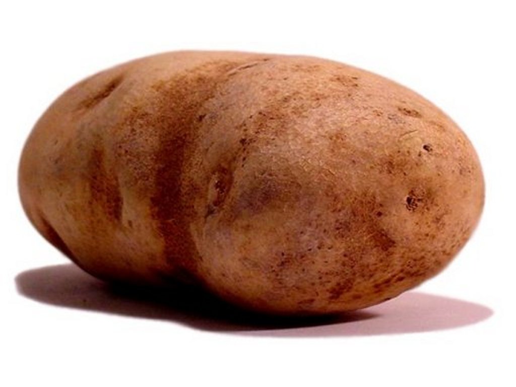 Name:  potato.jpg
Views: 722
Size:  73.2 KB