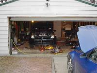 Not for the faint of heart . . .-headers-005.jpg