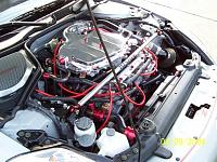 New engine bay stuff....-bay-without-2.jpg