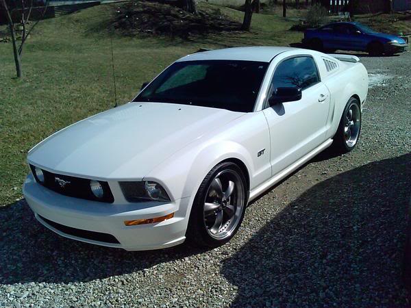 Name:  stang3.jpg
Views: 1009
Size:  55.8 KB