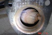 Random Technology Cat poll-randominside.jpg