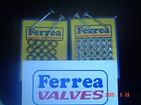 Rebuilt head and AEBS 4.3 Stroker Kit-ferrera-valve-kit.jpg