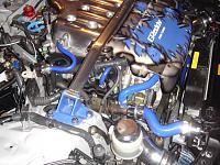 new pics: samco hoses and pithon fittings-picture-023.jpg