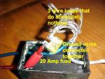 Chip?-mvc-030f.jpg