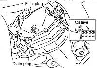 Changing the Differential / Transmission Oil-untitled.jpg