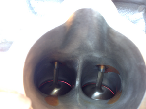built heads w/JWT S1 cams, +1mm oversized valves. decked. ported polished.. &amp; revup oil pump-uvefoeh.png