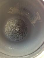 BErk HFCs-- 3 months old-3052aac8-b2e3-460f-be84-4eef0c472679.jpeg