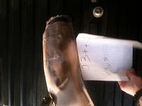 03-05 350Z Stock Cats-photo-1.jpg