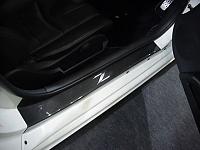 Central Carbon parts-central-door-sills.jpg