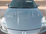 my new hood and spoiler, yada yada yada-dscf6696.jpg