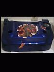 Cost to paint engine cover and battery/master cylinder covers?-photo-0077.gif