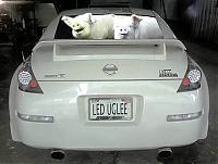 NEW tail light kit...anybody have this yet??  wadya think-backpigs.jpg