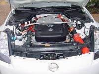 My engine bay... pics-dsc00695.jpg