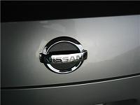 Reen's CF emblem filler on Chrome Silver-reen-back.jpg