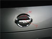 Reen's CF emblem filler on Chrome Silver-reen-back.jpg