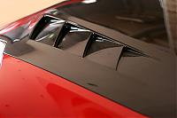 Best CF Hood comparison-418-z33-food2-img_6245.jpg