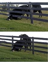 new world-dairy-fail.jpg