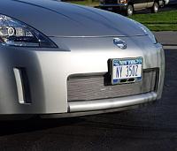 Grille-Tech grille.....Nice!!-nose.jpg
