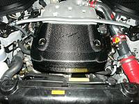 IPT CF Engine Cover-pict0113.jpg