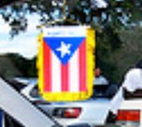 anyone tried this? 5 Panel Rear View-flag.jpg