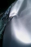 Totaled or not-imag0008.jpg