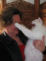 decal rice?-cat-scratch.jpg