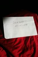 Custom Car Cover - Red-car-cover-2.jpg