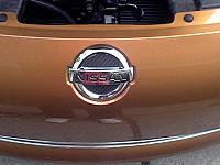 Need your CF Emblem Filler Feedback!-dvc00273.jpg