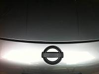 Blacked out my Emblems-img_0592.jpg