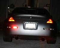 New Lights, etc....-back.jpg