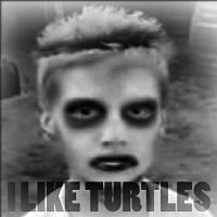 The Tommy Kaira Hebi Bebi Shift Knob Thread :D-turtles.jpg