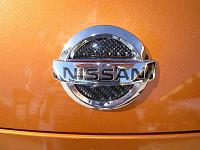pics of Blue/Black CF emblem fillers-dscn2235a.jpg