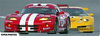 Racing stripes on the Z?-viper_motorsports_1_main.jpg