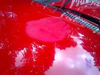 Paint faded while under car cover!!!-car-1.jpg