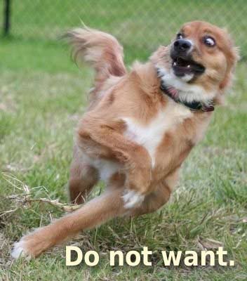 Name:  do-not-want-dog.jpg
Views: 147
Size:  21.5 KB